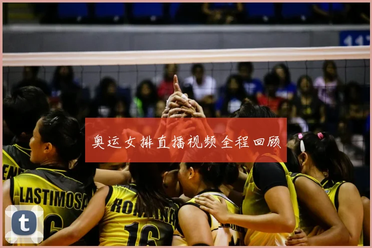 奥运女排直播视频全程回顾