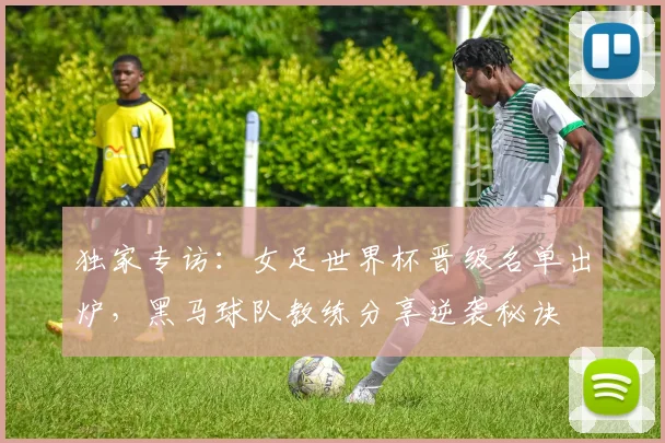 独家专访：女足世界杯晋级名单出炉，黑马球队教练分享逆袭秘诀