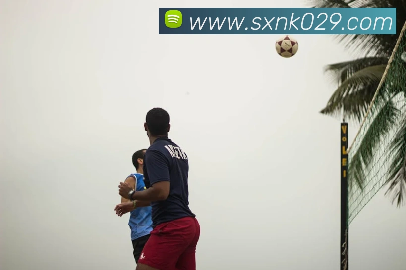 世界杯官网登录app平台生态图