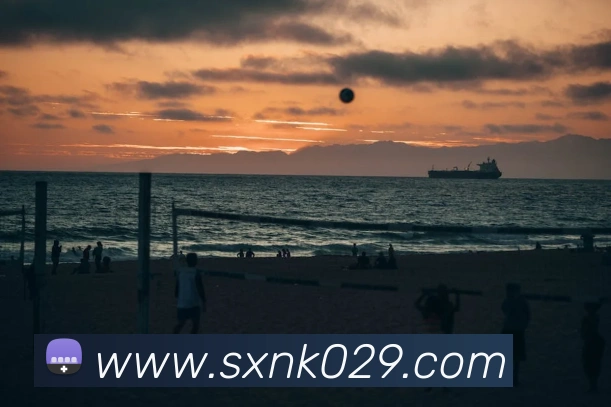 世界杯官网登录appAPP 封面图